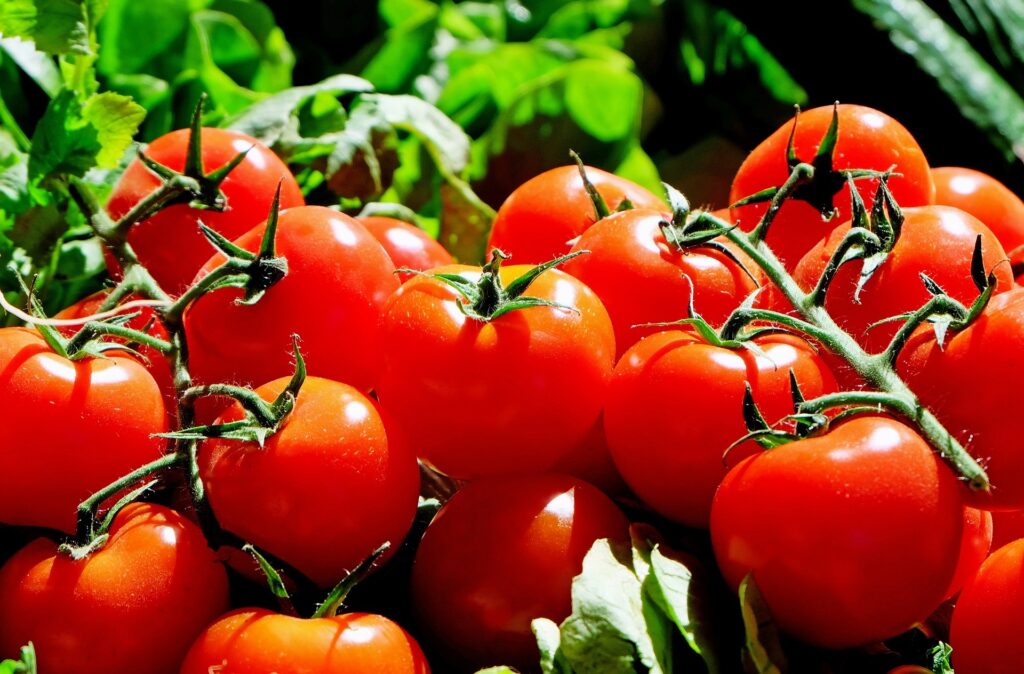 Un ingredient ieftin pe care îl ai deja în casă este folosit de grădinari pentru o recoltă bogată de roșii