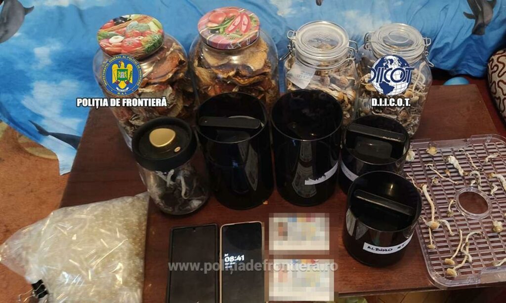 Fabrică de droguri într-o locuință din București: trei persoane au cultivat ciuperci halucinogene