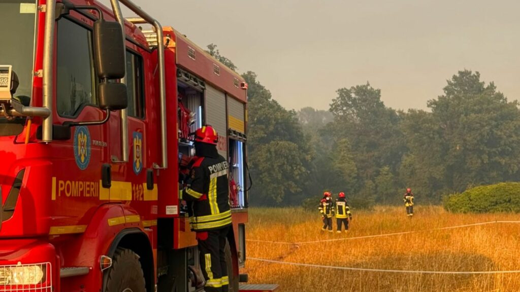 Două incendii au mistuit zeci de hectare de pădure, într-un județ din vestul României. Elicopterul IGAv, chemat la intervenție