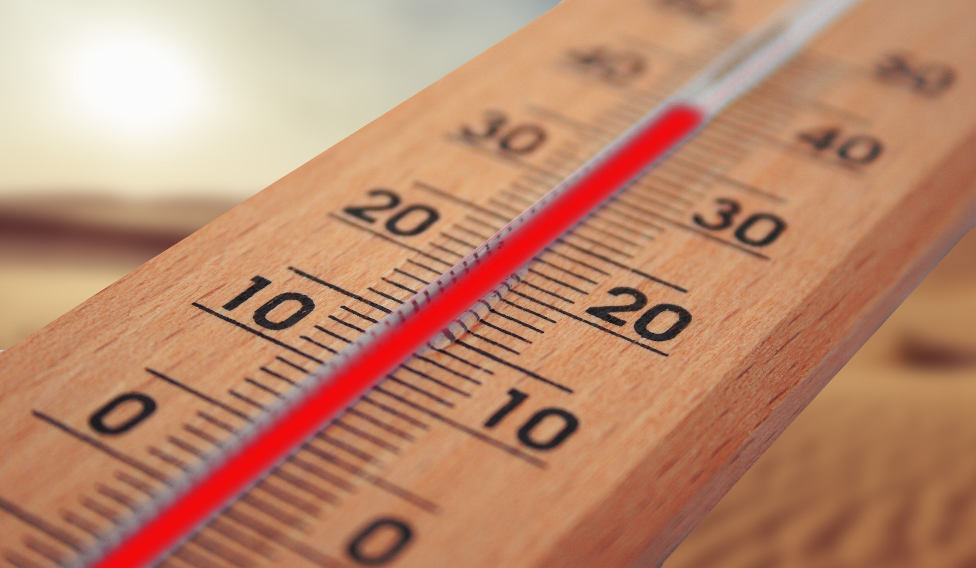 OMS: Verile Europene, Tot Mai Dificile. Recorduri de Temperatură Marină