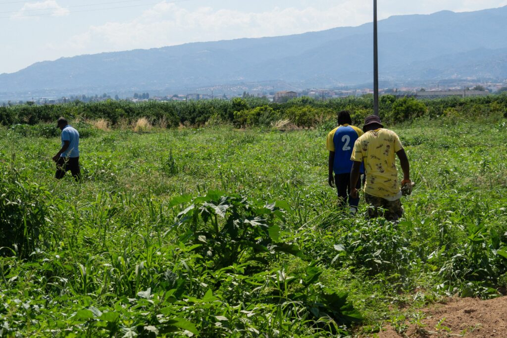 Fermier italian condamnat la 16 ani de închisoare după ce a lăsat un muncitor indian să moară