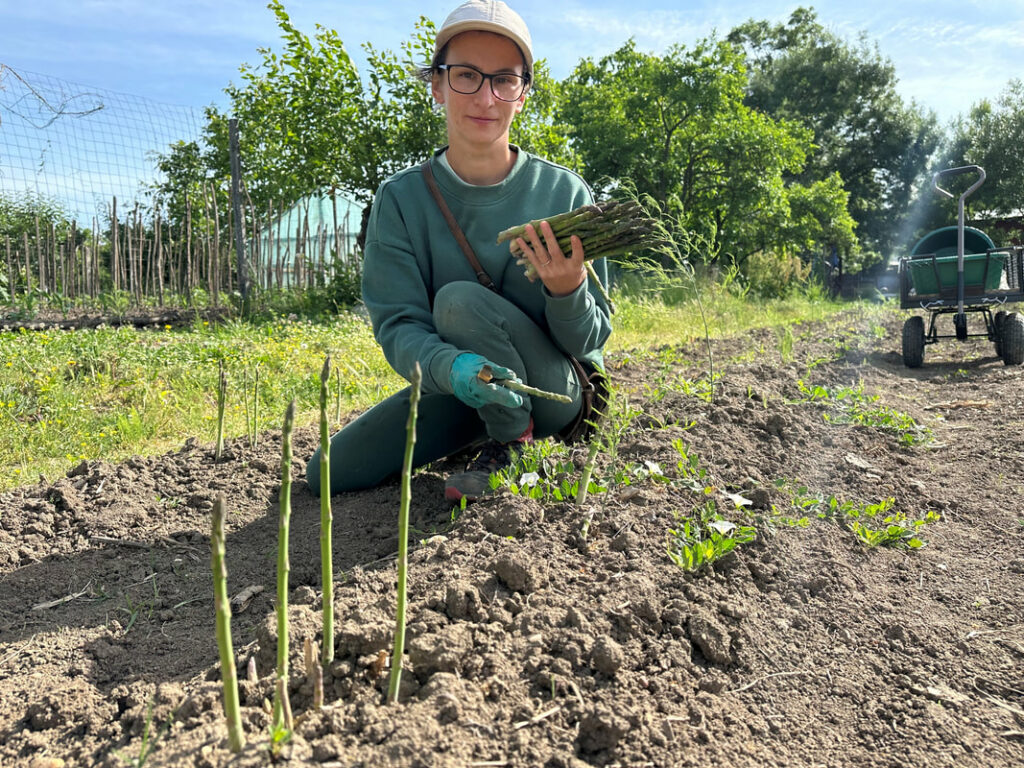 Cum a transformat o antreprenoare din România cultivarea sparanghelului într-o afacere de succes