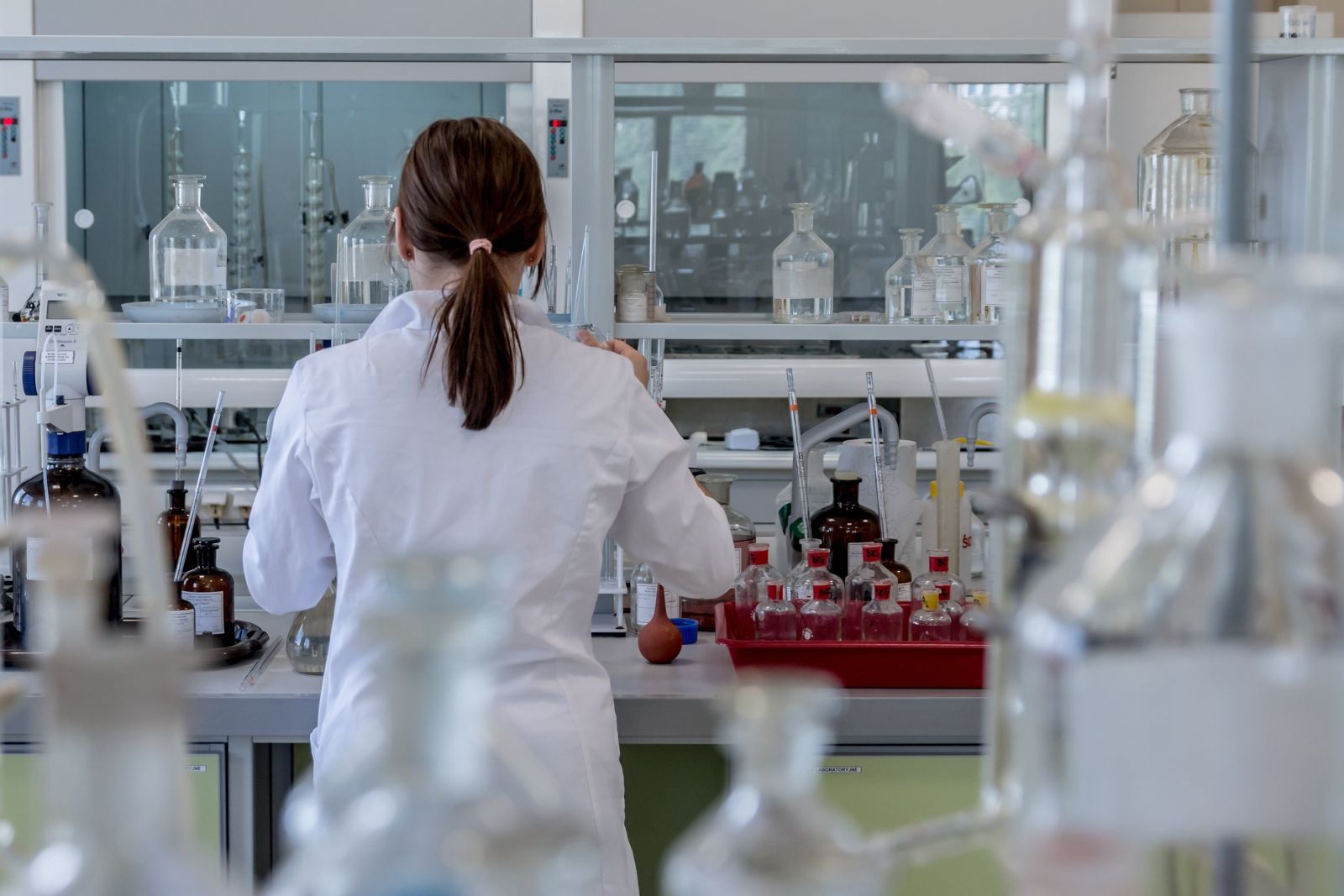 „Mini-creiere” din laborator, speranță pentru Alzheimer