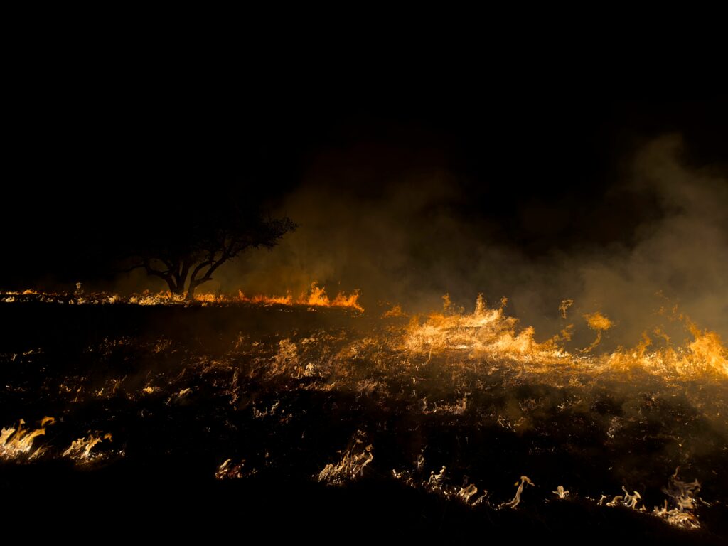 Expunerea la fumul incendiilor de vegetație crește riscul de boli grave și milioane de decese, avertizează cercetătorii