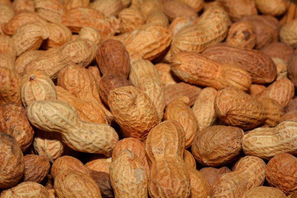 O podea realizată din unt de arahide a fost inaugurată la un muzeu din Olanda. S-au folosit sute de kilograme de unt de arahide