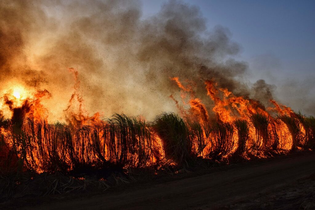 Nu doar plămânii sunt afectați. Ce efecte are fumul incendiilor forestiere asupra organismului