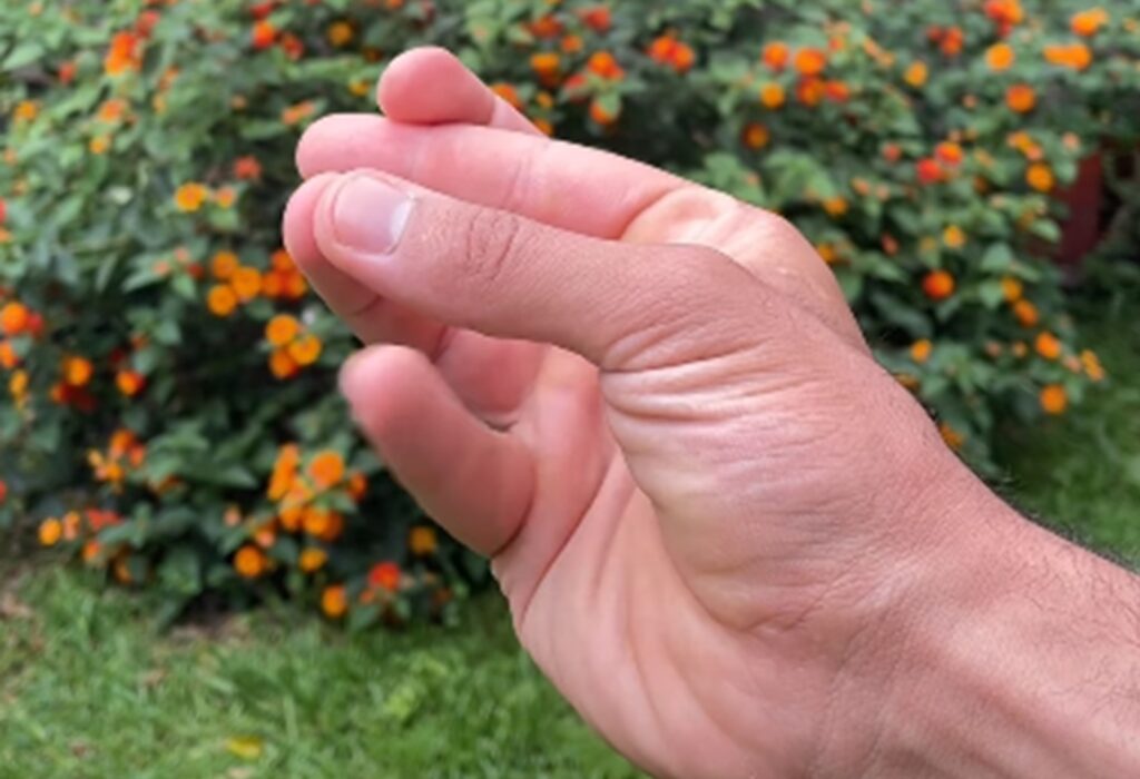 Ce este „Pinky Time” și poate într-adevăr să îmbunătățească sănătatea creierului?