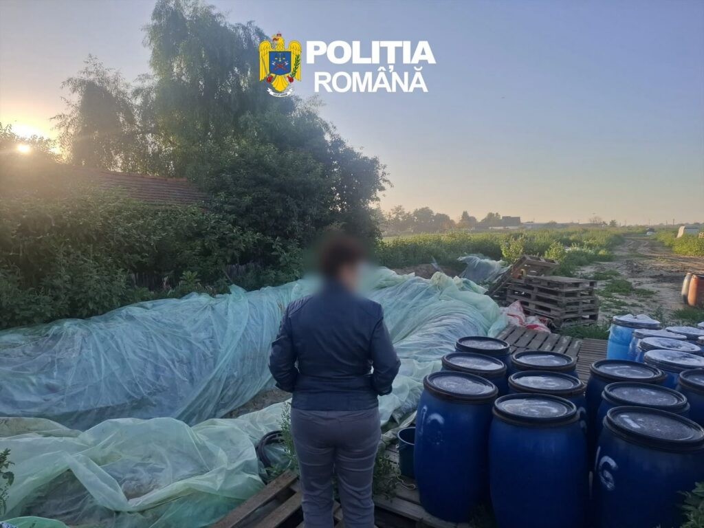 Opt tone de varză murată, găsite depozitate în gropi cu folie, în Dâmbovița, distruse