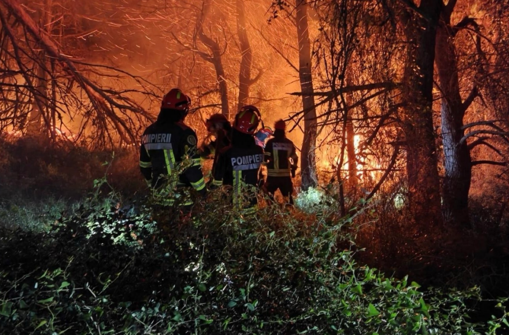 „Frații noștri din România”. Grecii le mulțumesc pompierilor români plecați să lupte cu incendiile de vegetație