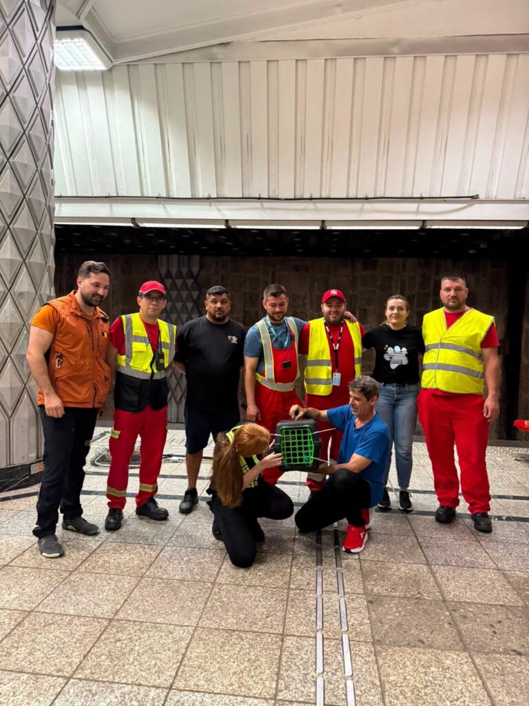 Pisica blocată pe șinele de metrou a fost salvată de voluntari după mai multe zile