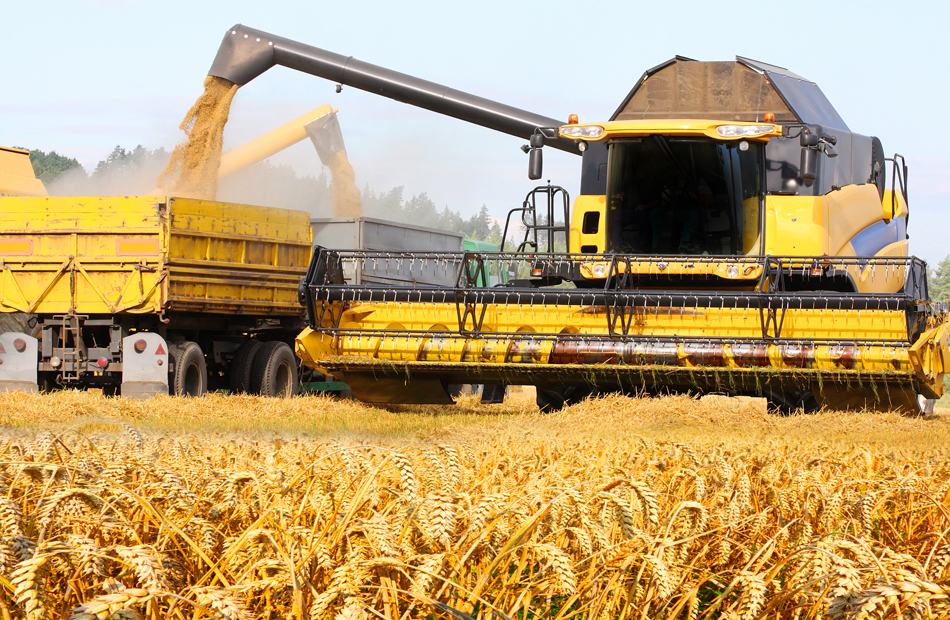 Bloomberg: Atacurile Rusiei din Marea Neagră au dus la cea mai mare creștere a prețurilor culturilor agricole. Risc de inflație a prețurilor la alimente