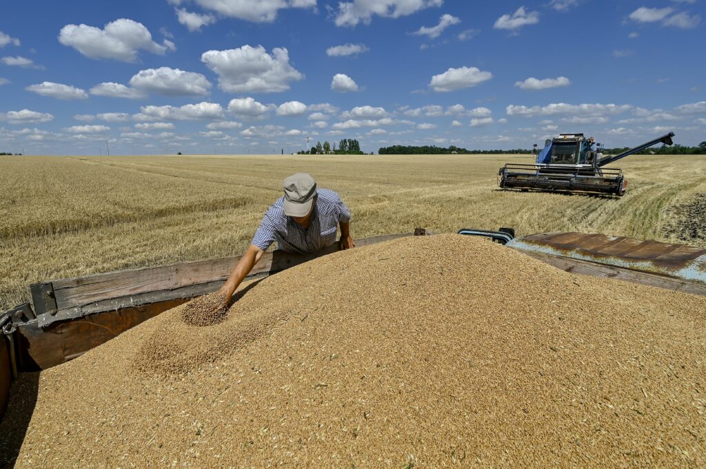 Atacurile Rusiei împing din nou cerealele Ucrainei spre România. Noul val poate veni peste o recoltă foarte mare a fermierilor români