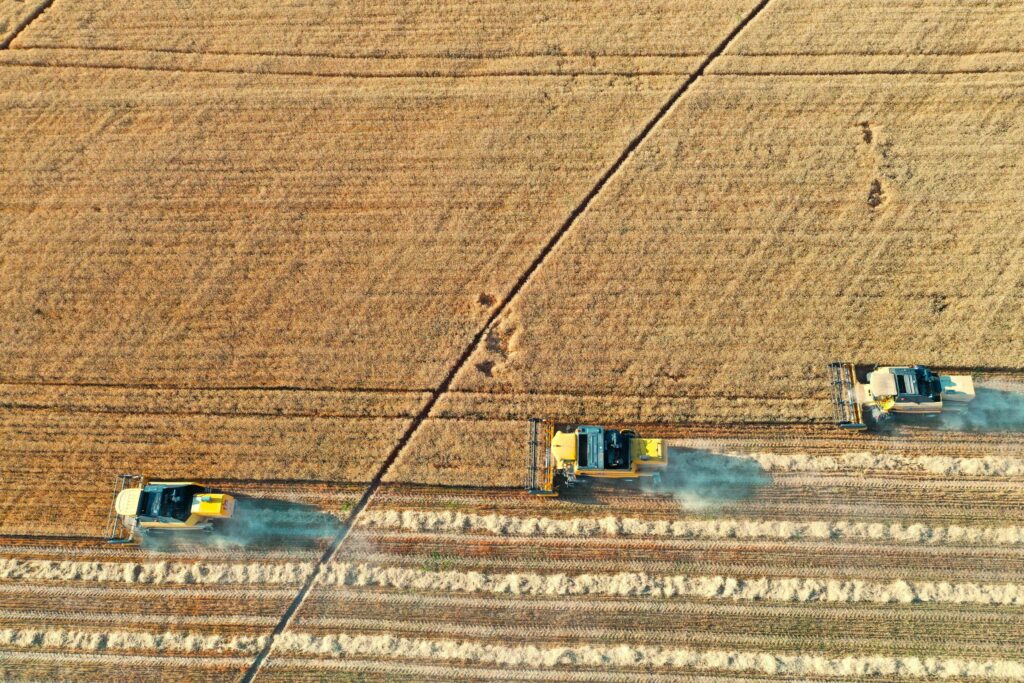 Războiul de la Marea Neagră amenință din nou prețul pâinii. Grâul s-a scumpit cu aproape 6% într-o lună, iar navele sunt împinse spre Constanța