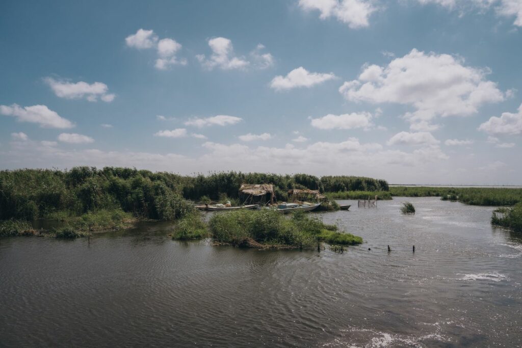 România face un nou pas pentru protejarea biodiversității și accesarea fondurilor din PNRR