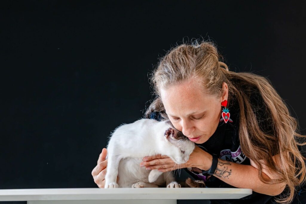 Pisicile domină coșurile Pet Shop pe Sezamo: 80% dintre clienții care cumpără din categorie aleg produse pentru feline
