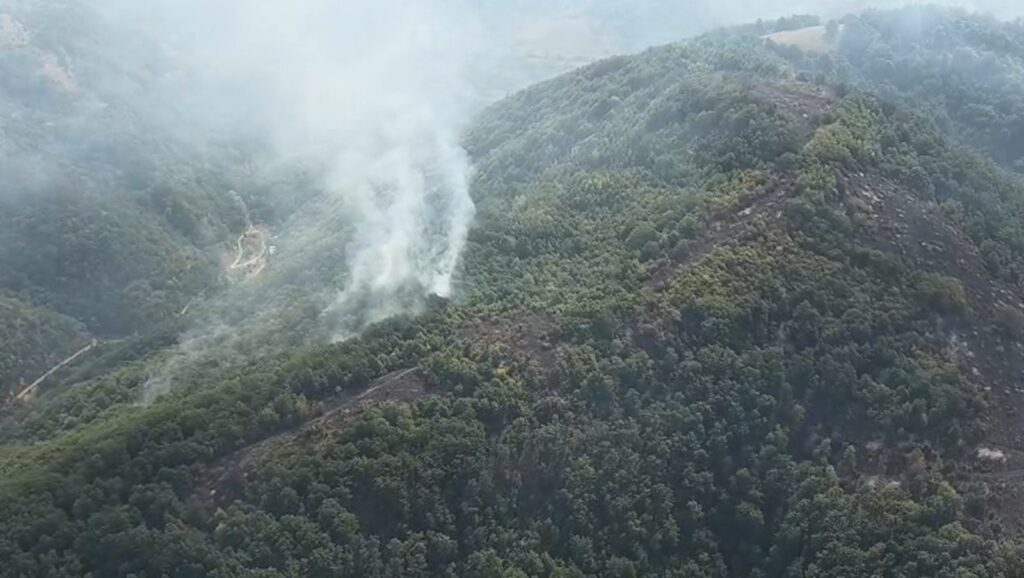 Două incendii de vegetație fac ravagii în Caraș-Severin. Unul dintre focare s-a reaprins