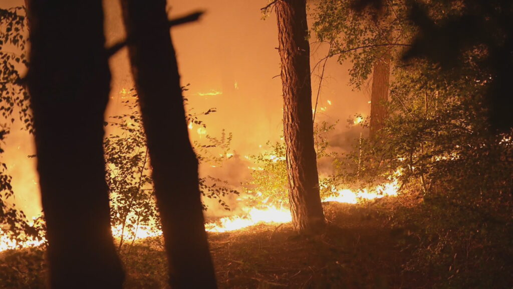 O rezervație naturală din Țările de Jos, devastată de un incendiu de pădure