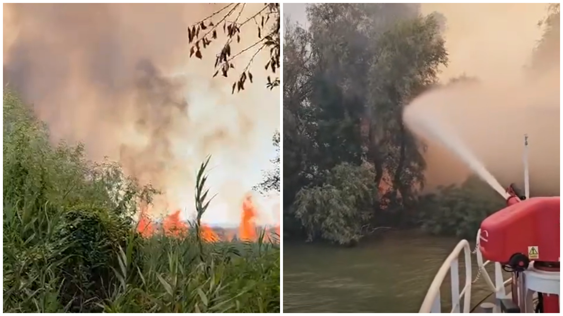 Foc mistuitor în Delta Dunării, la Ostrovul Babina. De ce nu pot ajunge pompierii pe uscat la flăcări