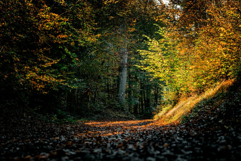 August se încheie cu caniculă și furtuni. Ce anunță ANM pentru ultima săptămână a lunii
