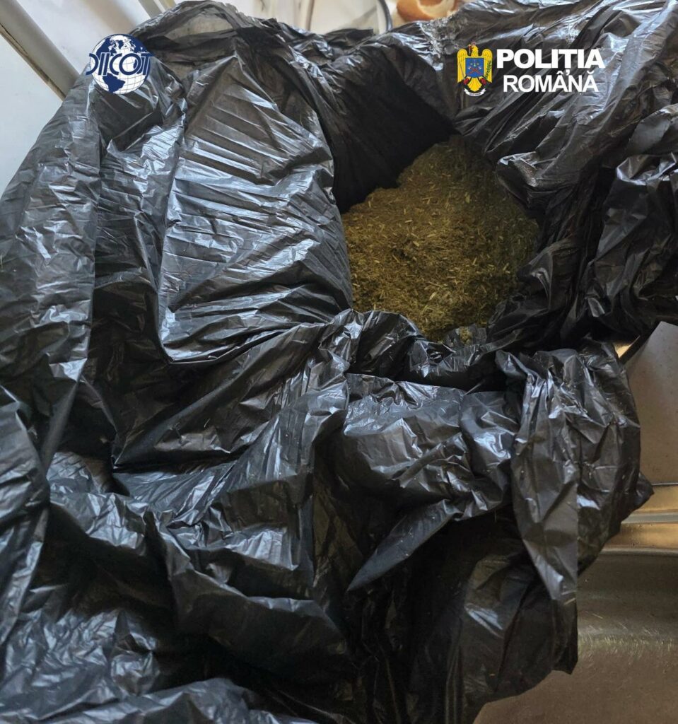 Rețea de trafic de droguri, coordonată din penitenciar, destructurată. Șase persoane, arestate preventiv