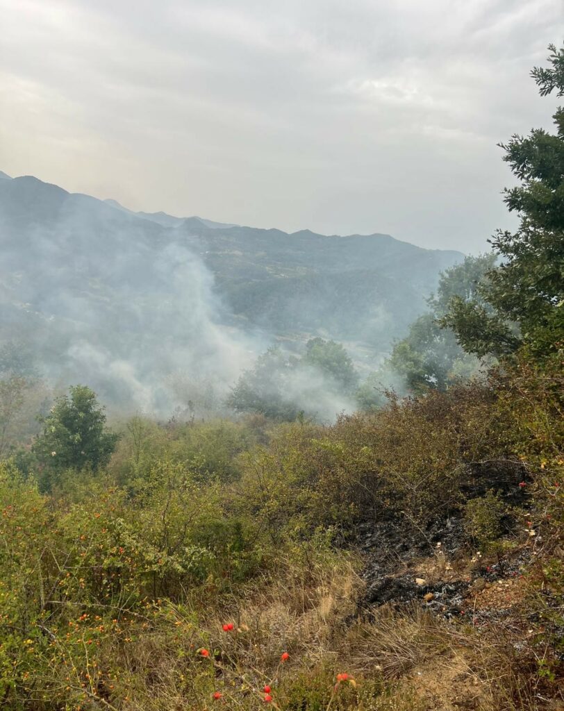 Incendii violente de vegetație în Hunedoara: Peste 22 de hectare au ars și traficul pe un drum național a fost blocat