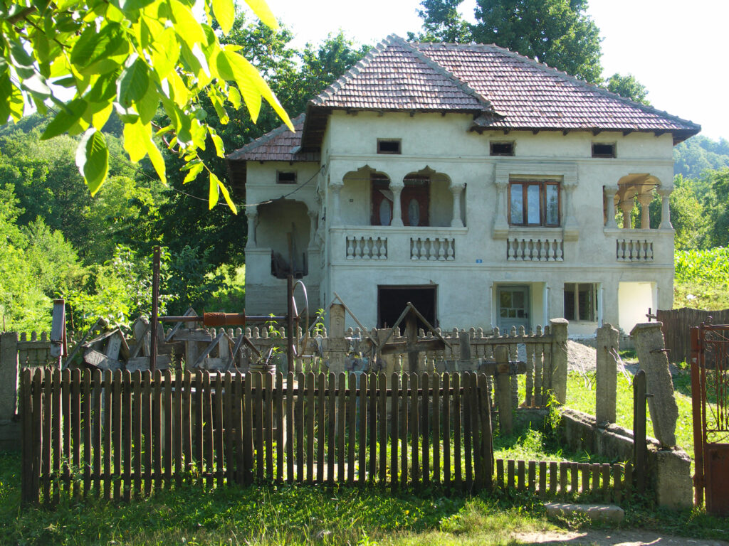 Ce copac nu trebuie plantat niciodată lângă casă? Experții avertizează asupra unui risc grav