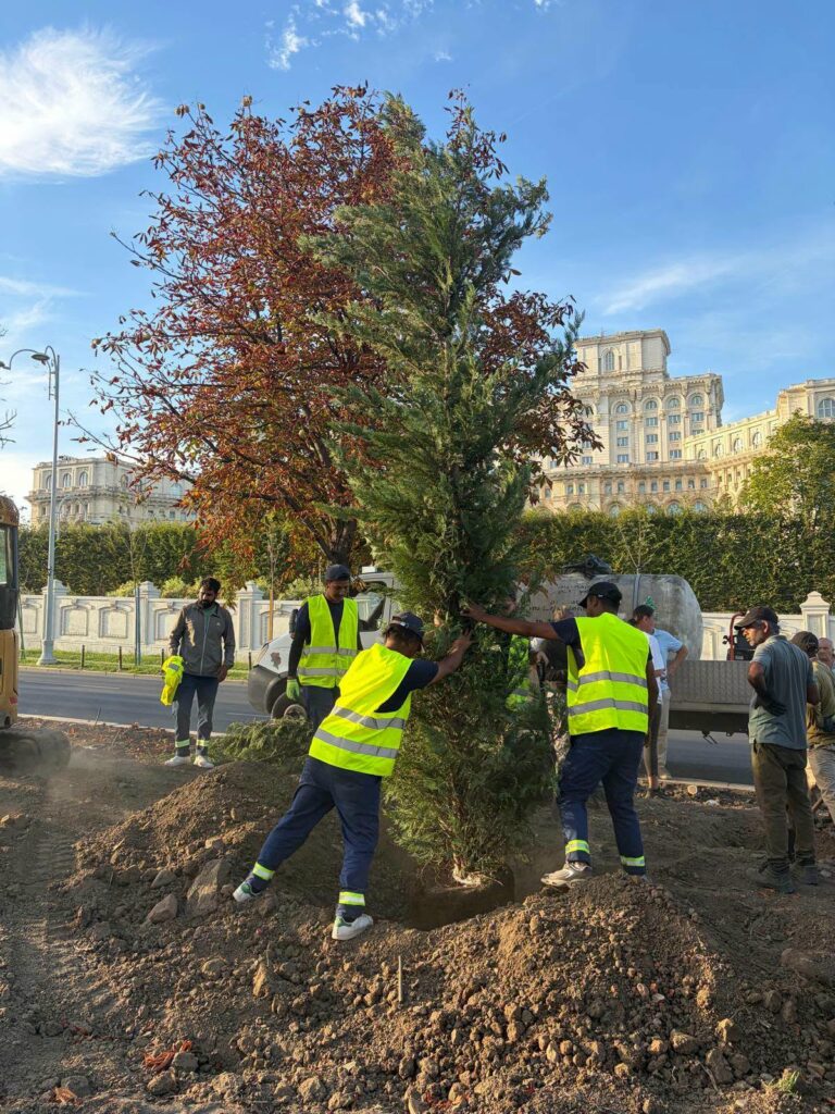 Bulevardul 13 Septembrie se transformă în coridor verde. Ciprian Ciucu anunță 1.200 de arbori și 25.000 de arbuști