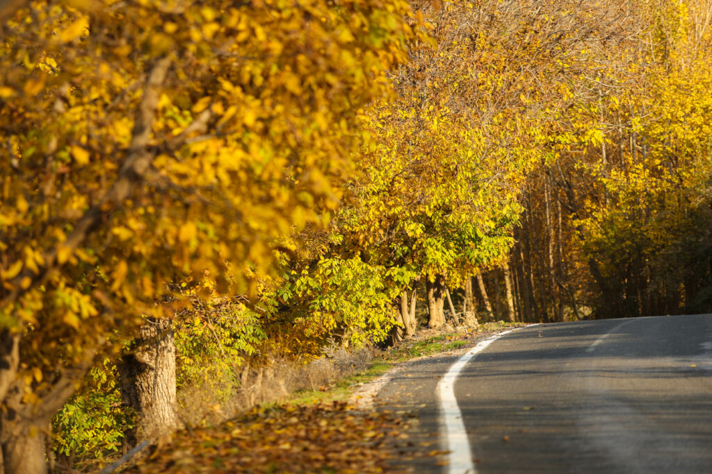Topul celor mai spectaculoase peisaje de toamnă din Europa: Transilvania, inclusă printre destinațiile de poveste