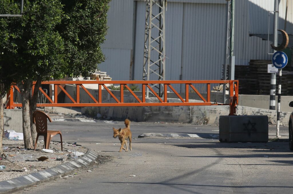 Mai multe țări au anunțat că vor interzice comerțul cu unele produse israeliene. Poziția României