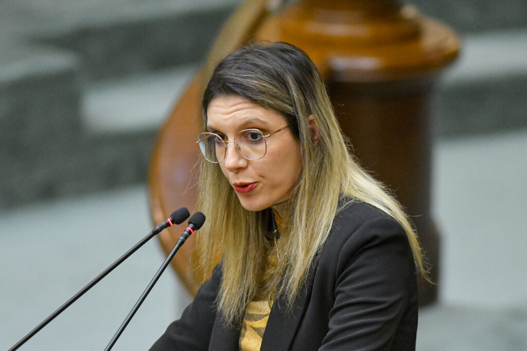 „Auriști micuți și fricoși”. Buzoianu: Sunteți mari doritori de anticipate, apoi bateți palma cu PSD pentru funcții