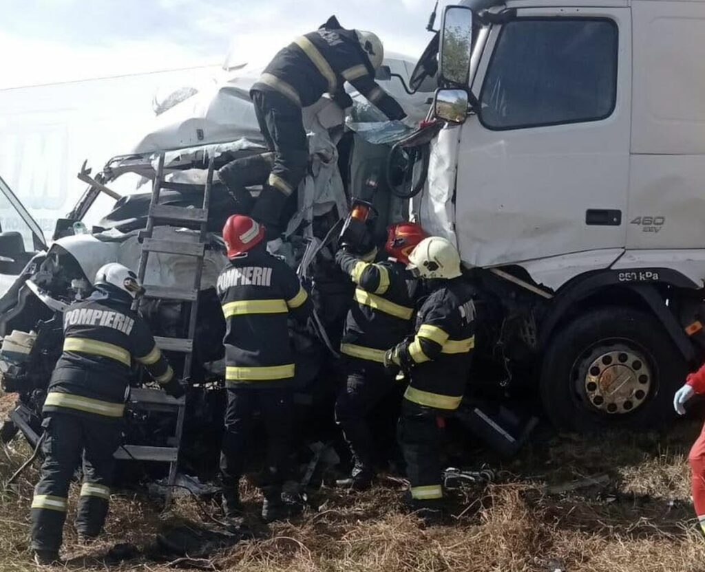 O misiune pentru salvarea animalelor s-a transformat într-o tragedie în România. Două femei britanice și opt câini au murit