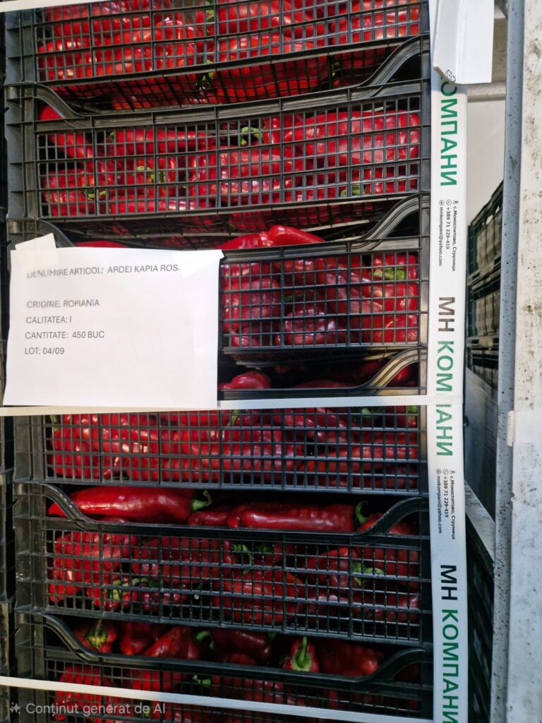 Patru firme din Ilfov vindeau în supermarketuri ardei din import pe post de ardei românești