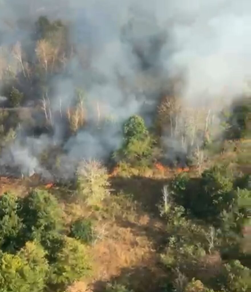 Incendii violente de vegetație în Caraș-Severin. Flăcările înaintează rapid spre case, zeci de pompieri intervin