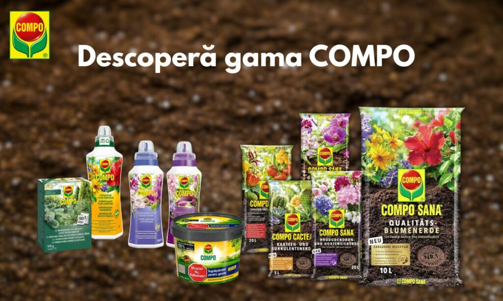 COMPO își extinde prezența în România prin colaborarea cu Verdon
