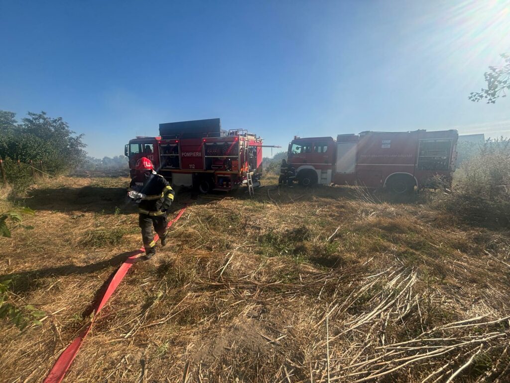 Incendiu violent de vegetație uscată în județul Dolj. Focul s-a extins la o casă și o anexă