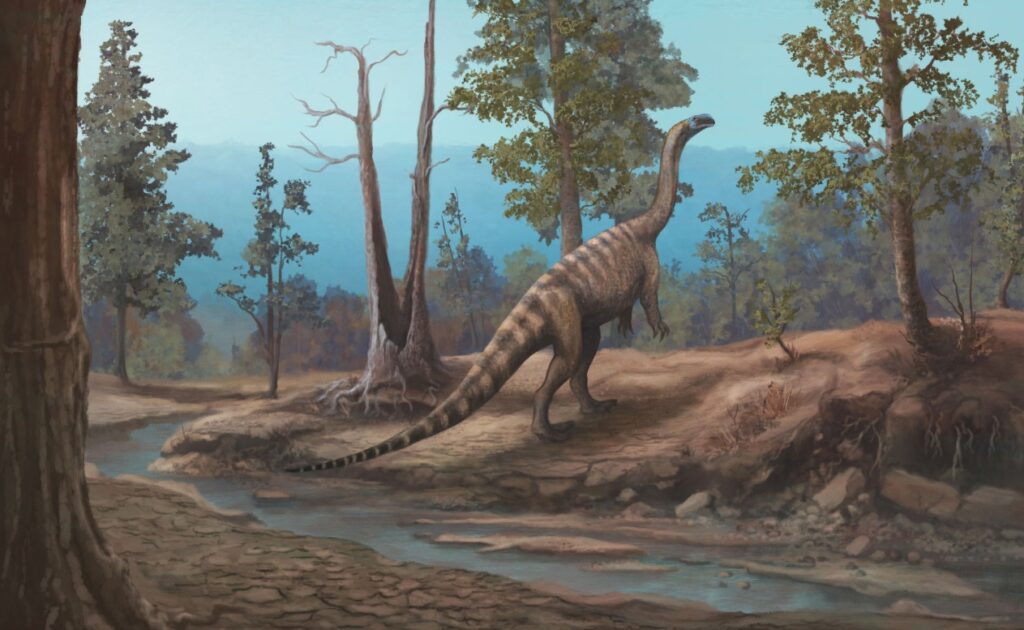 Descoperire rară în Africa: un dinozaur necunoscut, de 4,5 metri, a fost identificat după opt ani de cercetări