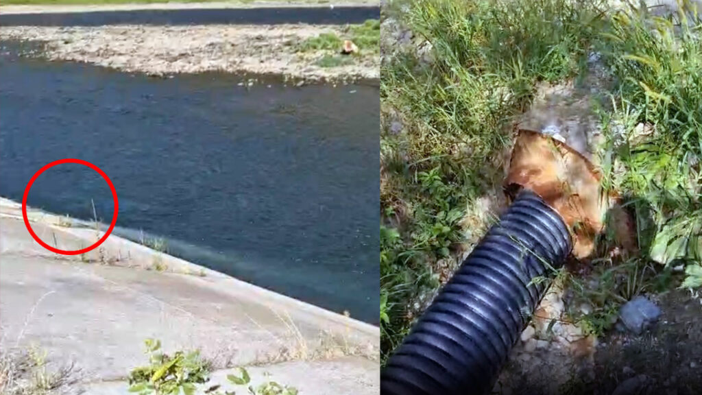 Alertă pe Valea Oltului: o conductă ar deversa apă uzată direct în râul Olt. Pescarii cer intervenția autorităților