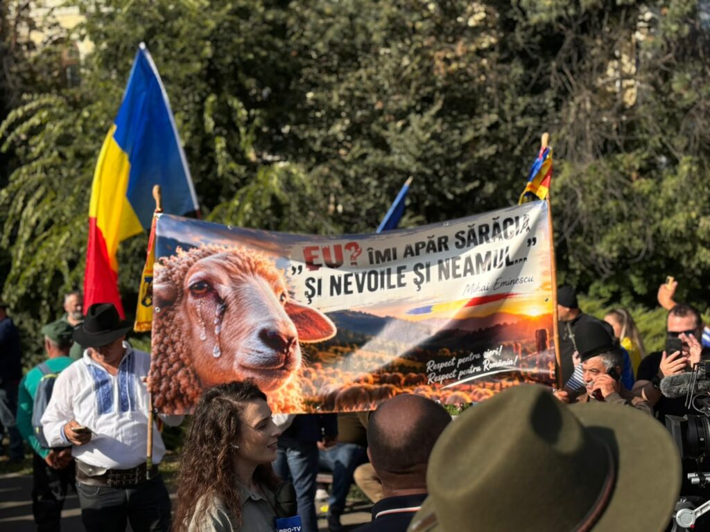 Fermierii protestează în București. Exporturile de ovine, seceta și costurile din agricultură, pe lista revendicărilor