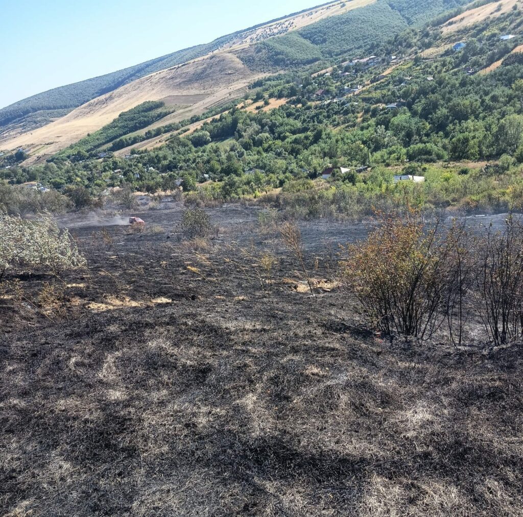 Incendiu puternic de vegetație în Vaslui. Au ars 12 hectare, iar șapte locuințe au fost salvate