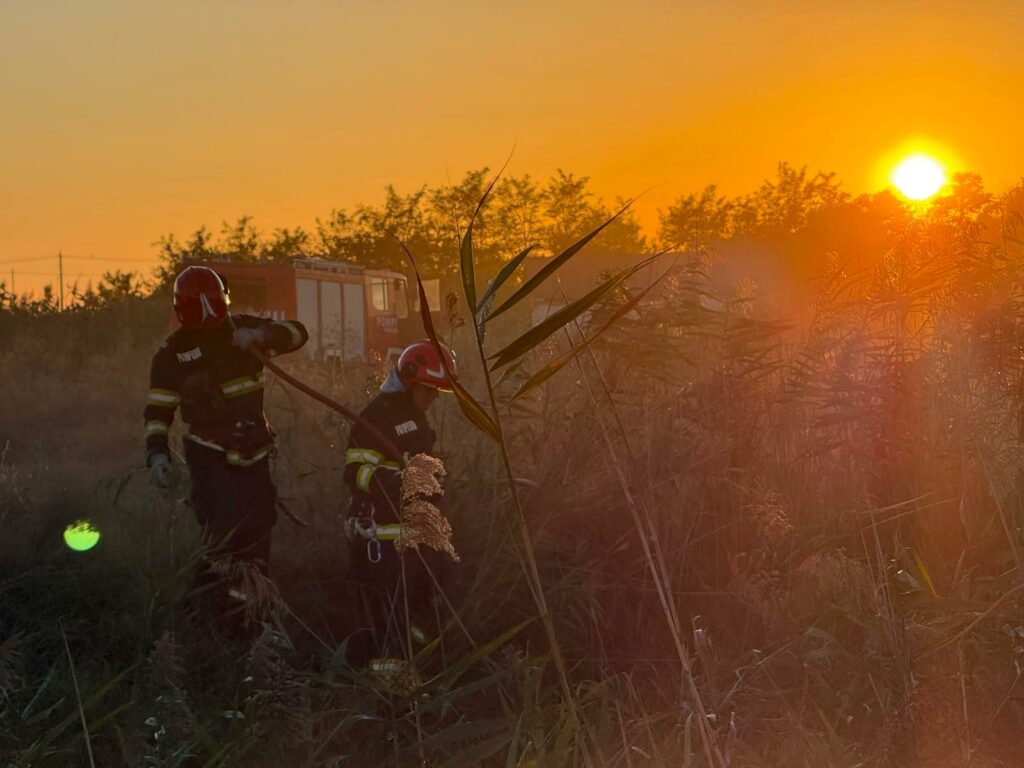 Două incendii de vegetație din județul Tulcea amenință zeci de locuințe și o fermă piscicolă din apropiere. Intervenție dificilă a pompierilor din cauza vântului puternic