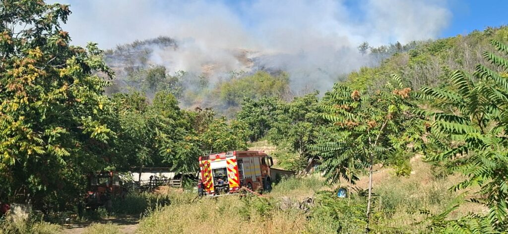 Un incendiu de vegetație s-a extins către o pădure și amenință animale și locuințe, în județul Tulcea. Pompierii intervin pentru lichidare