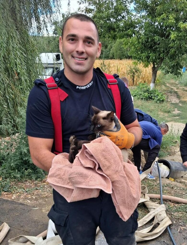 Pisică salvată de Ziua Pompierilor, după ce a dispărut două zile. Intervenția a durat aproape patru ore