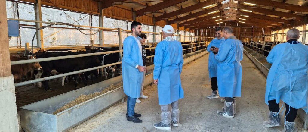 O piață importantă pentru crescătorii români s-ar putea redeschide. Exporturile au valorat 14,3 milioane de dolari