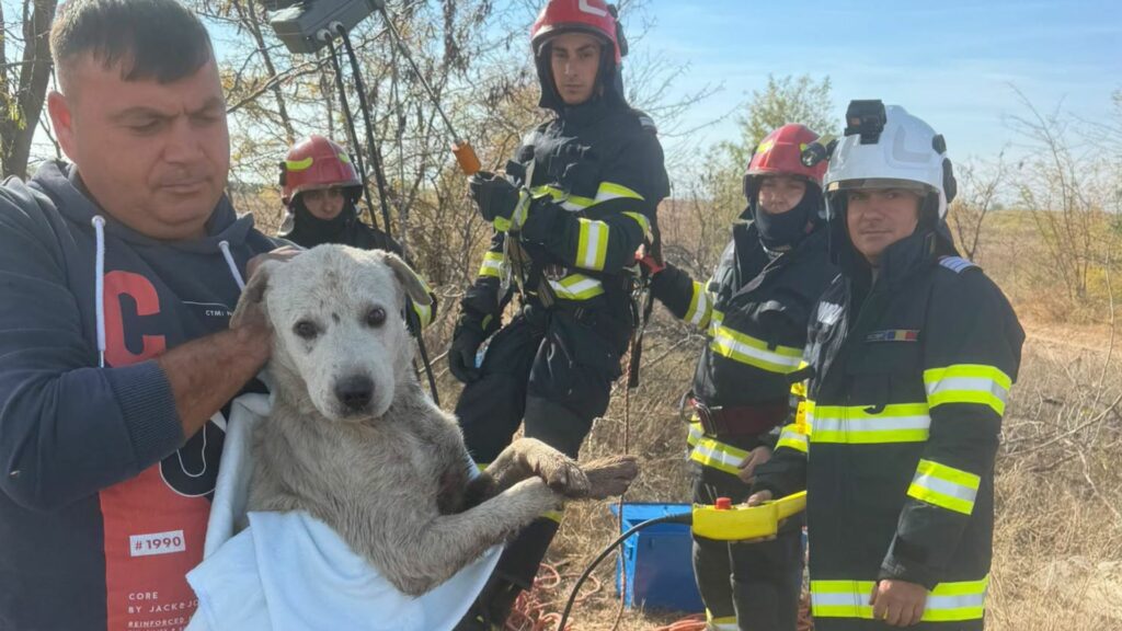 Câine din Dolj, salvat dintr-o fântână adâncă de 10 metri
