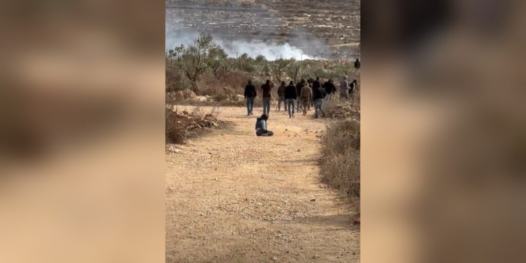 Coloniștii israelieni au atacat o jurnalistă americană. Plantațiile de măslini și mașinile palestinienilor, incendiate