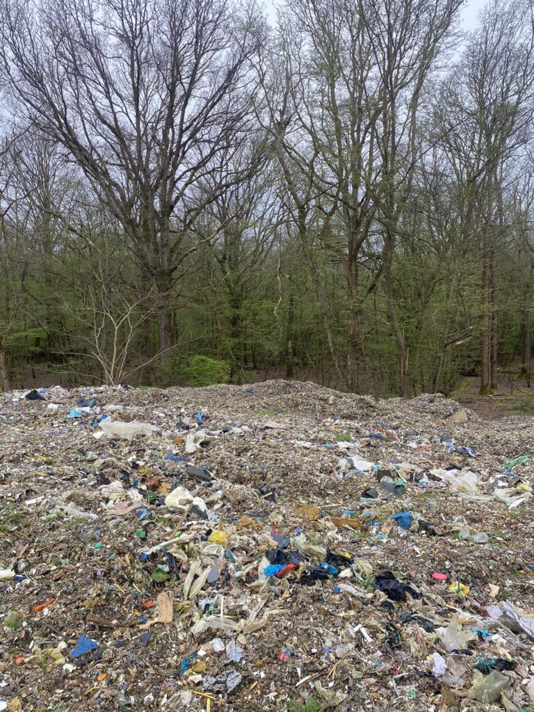 O pădure protejată pentru plantele sale rare, îngropată sub 40.000 de tone de gunoaie. Refacerea ar putea dura decenii