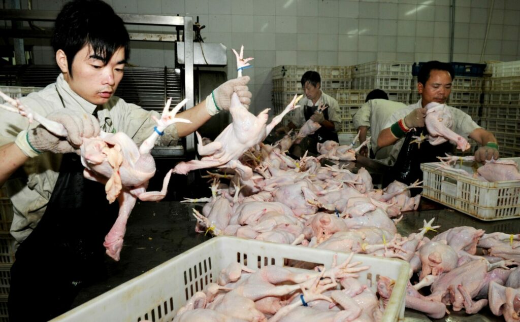 Europa, asaltată de carnea de pui ieftină din China. Bruxelles-ul urmărește importurile