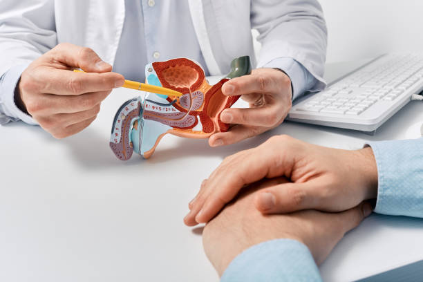 Descoperire importantă despre prostata mărită. Cercetătorii au identificat un tip de celule care ar putea explica fenomenul
