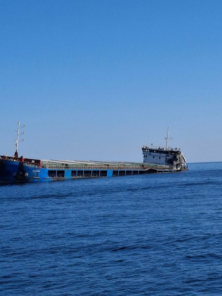 Rezoluție privind atacurile Rusiei asupra navelor comerciale din Marea Neagră, dezbătută în Parlamentul European