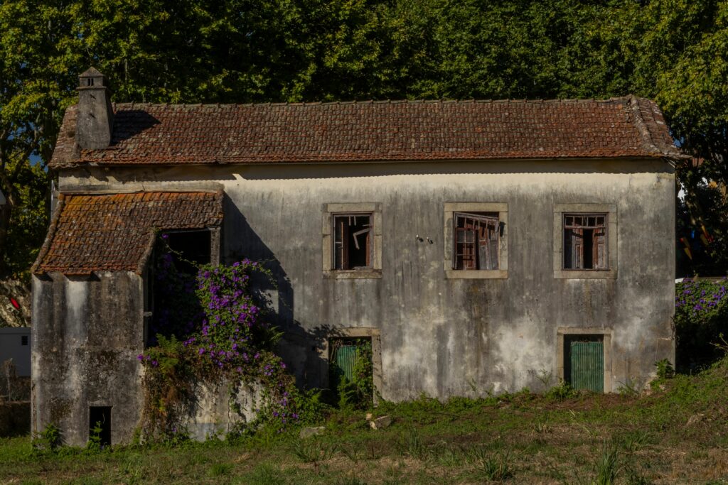 Visul unui american de a avea o casă în Balcani, dat peste cap. Descoperirea periculoasă care i-a schimbat planurile